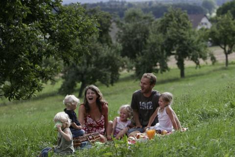 Tagesausflüge in der Region