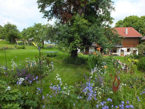 Ferienhaus am Ried Waldbeuren
