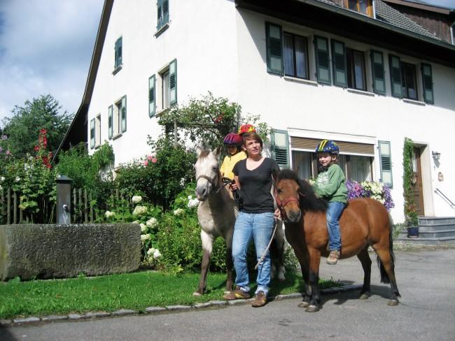 Ansicht Ferienhof Schlegel mit Pferden