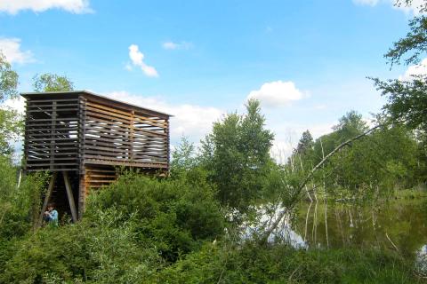 Wilde Moorlandschaft