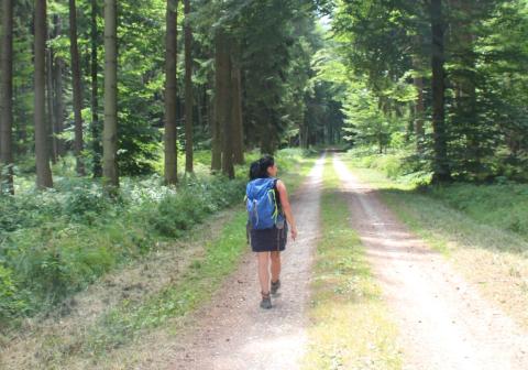 Wanderpfade entlang der Räuberbahnstrecke