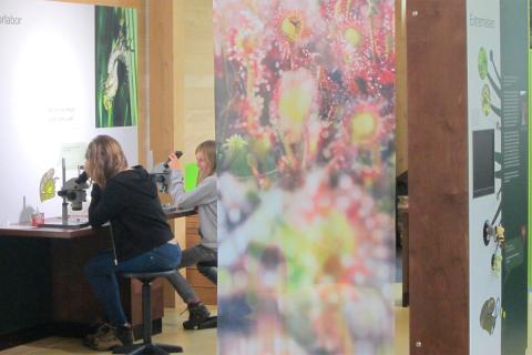 Naturerlebnis-Geburtstage & Weiterbildungen