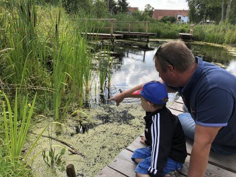 Naturschutzgebiet Pfrunger-Burgweiler Ried